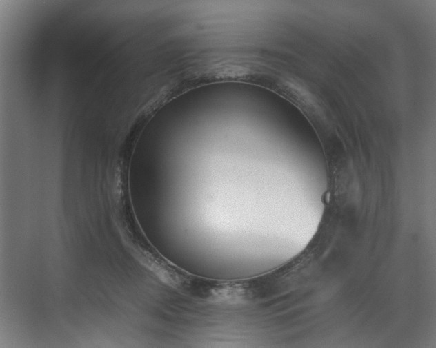 X0000070830362200606191254