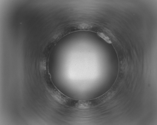 X0000070830368200606191254