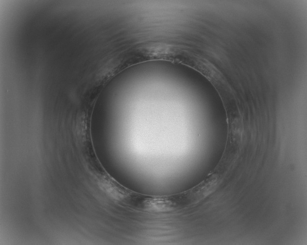 X0000070830372200606191254
