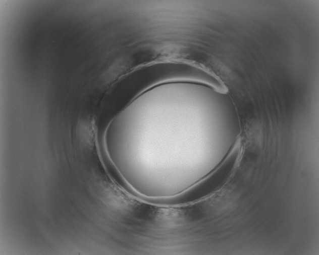 X0000070830376200606191255