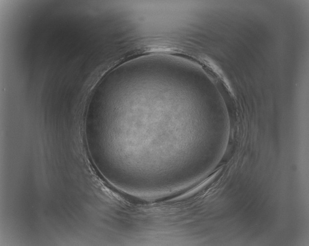 X0000070830385200606191254