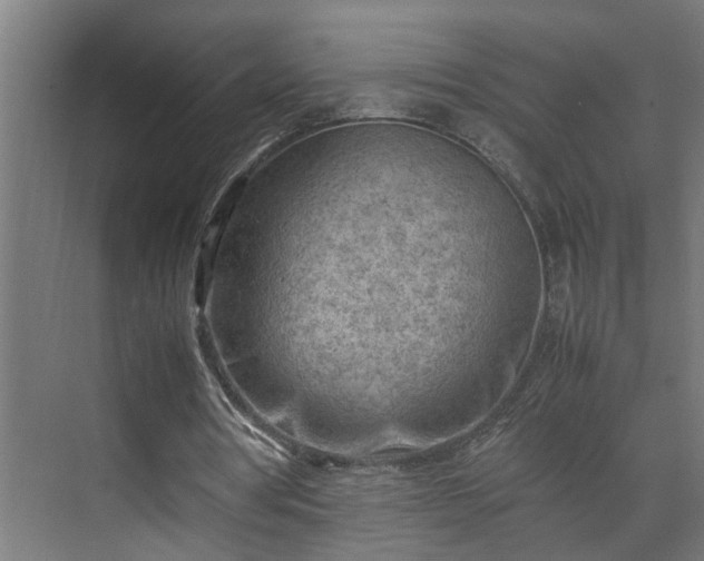 X0000070830386200606191254