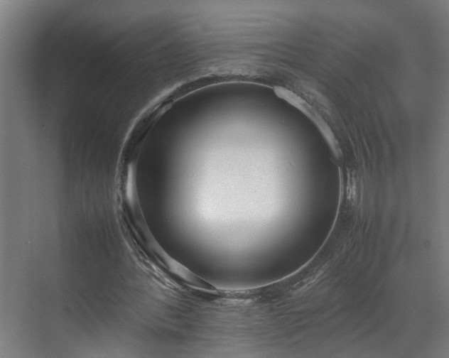 X0000070830388200606191254