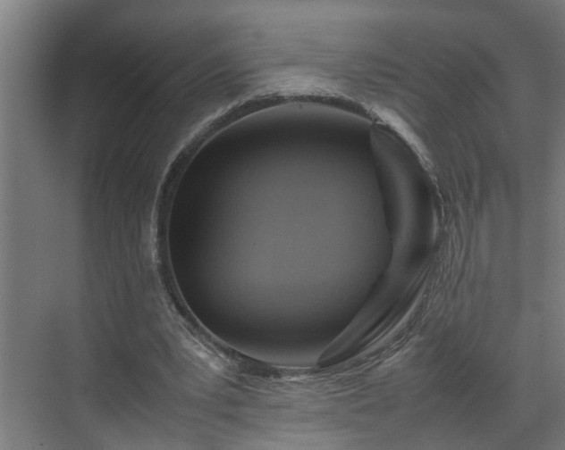 X0000070830391200606191254