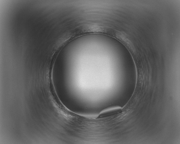 X0000070830394200606191254