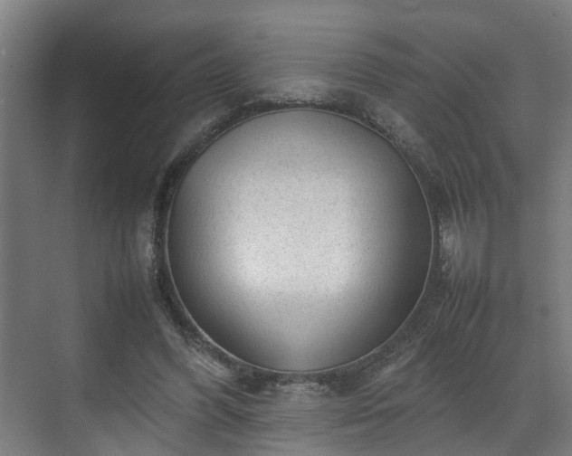 X0000070830396200606191254