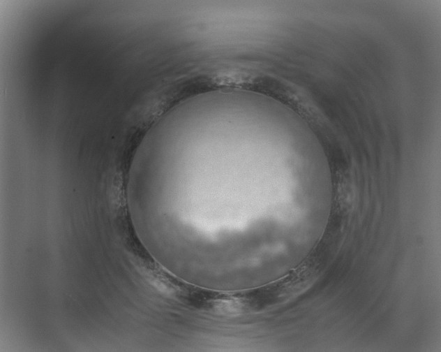 X0000070830411200606191253