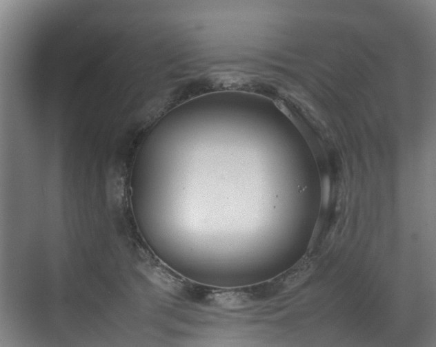 X0000070830417200606191253