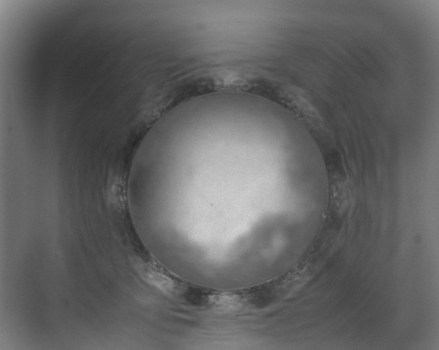 X0000070830419200606191253
