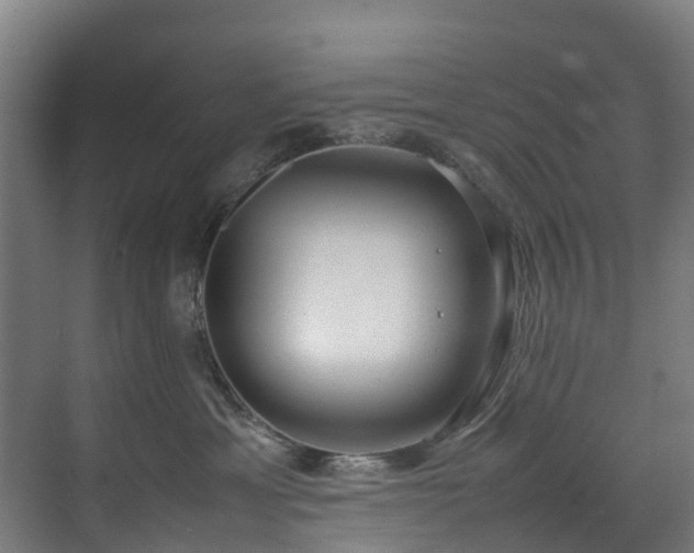 X0000070830429200606191253