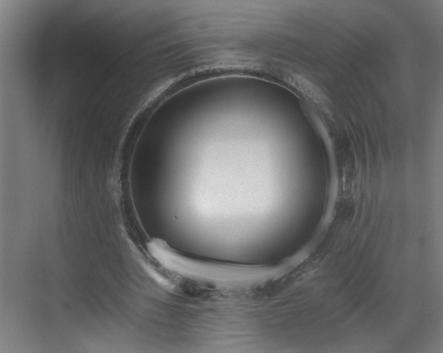 X0000070830436200606191252