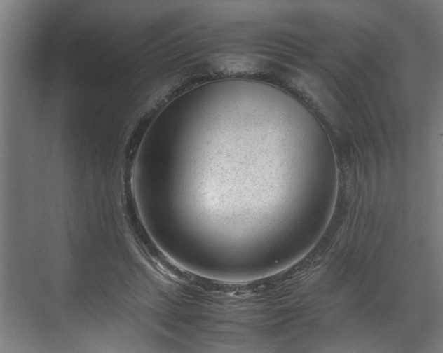 X0000070830447200606191252