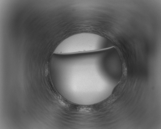 X0000070830471200606191253