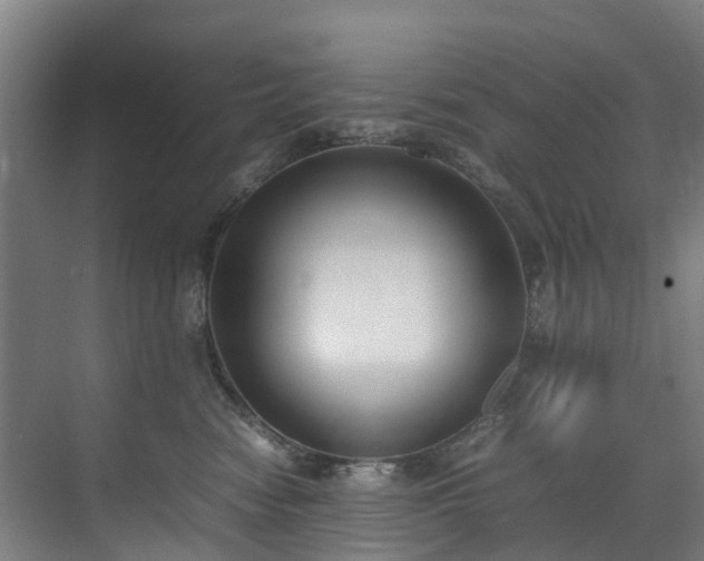 X0000070830474200606191253