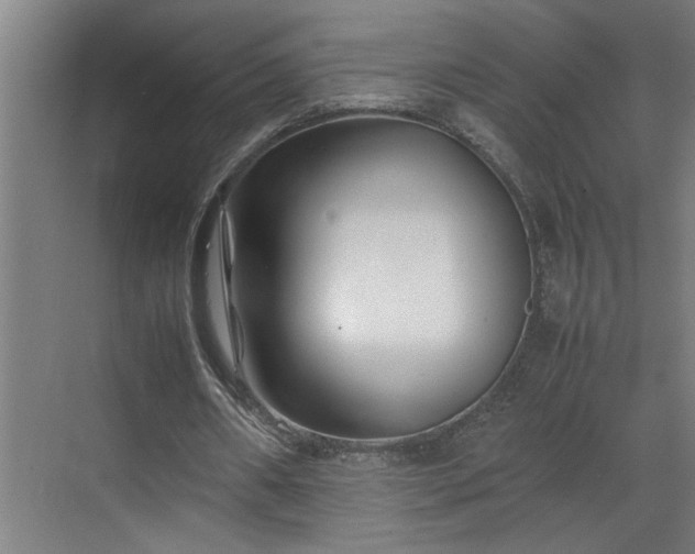X0000070830482200606191252