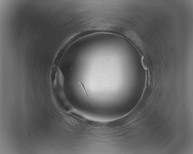 X0000070830483200606191252