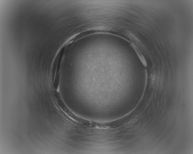 X0000070830484200606191252