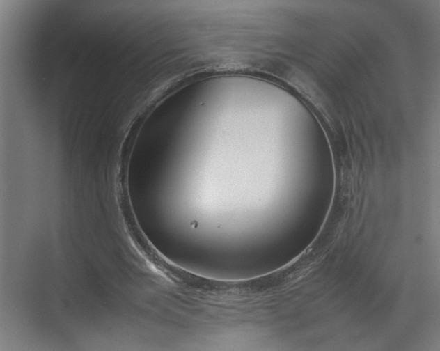 X0000070830485200606191252