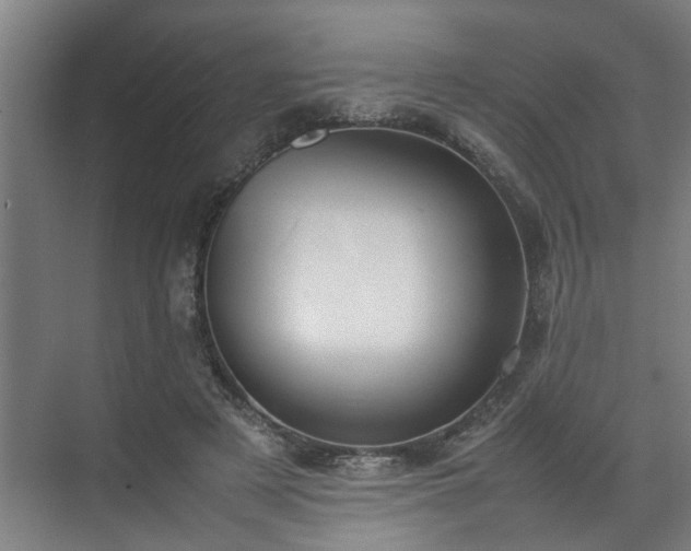 X0000070830497200606191252