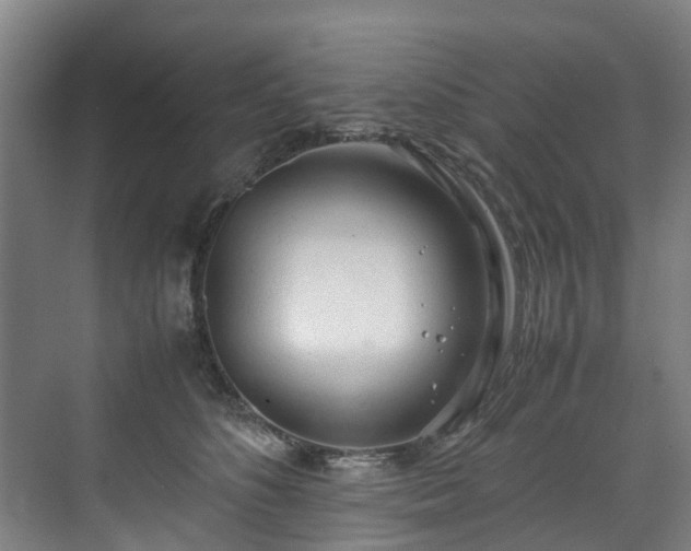X0000070830516200606191252