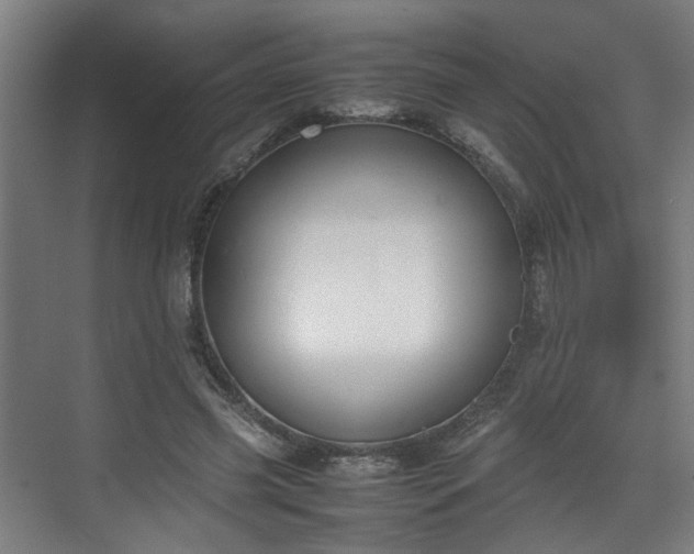 X0000070830541200606191251