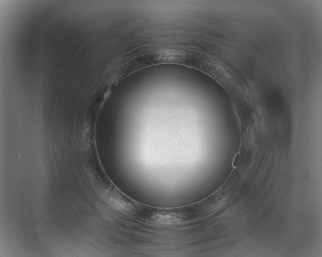 X0000070830557200606191251