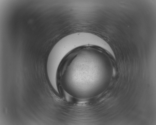 X0000070830570200606191251