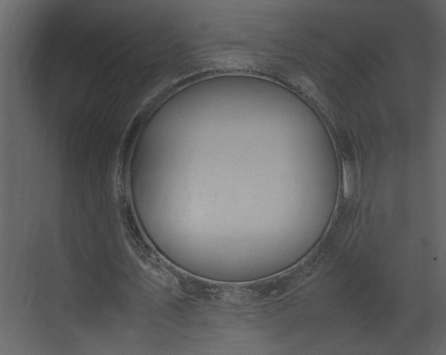 X0000070830579200606191251