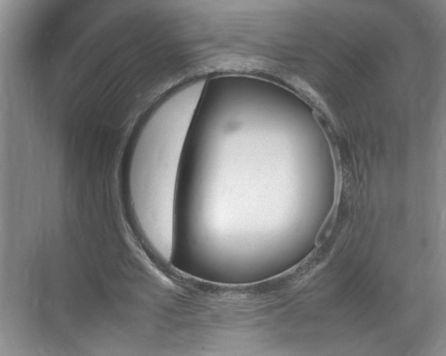 X0000070830581200606191251