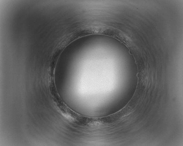 X0000070830594200606191250