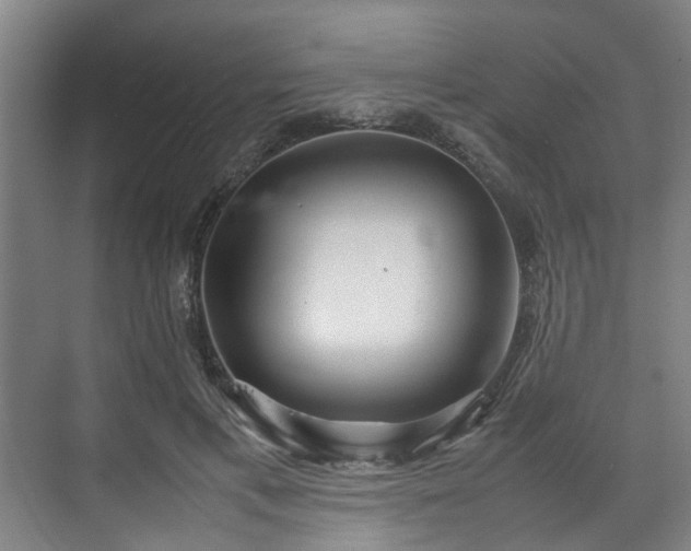X0000070830597200606191250