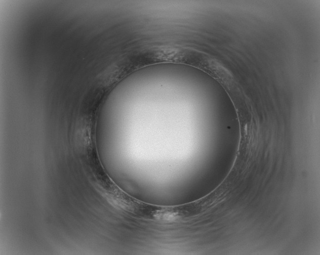 X0000070830602200606191250