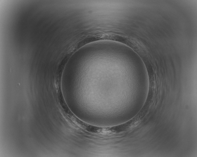 X0000070830607200606191250