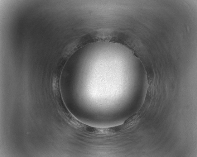X0000070830623200606191250