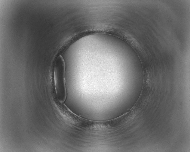 X0000070830636200606191249
