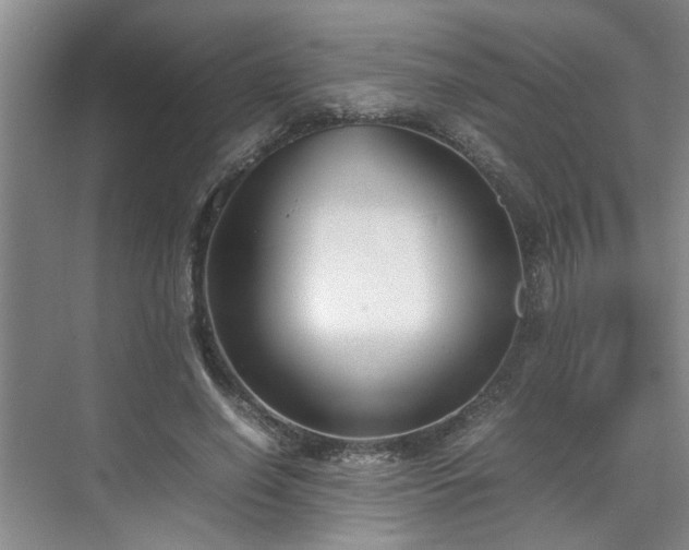 X0000070830638200606191249