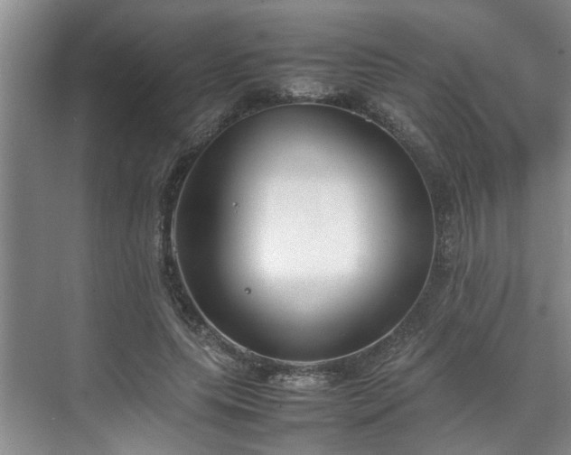 X0000070830639200606191249