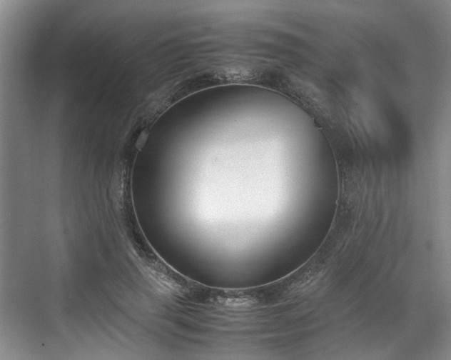 X0000070830645200606191249