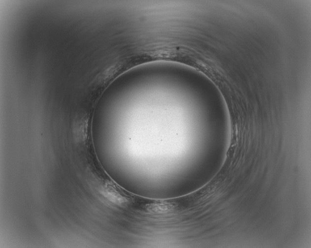 X0000070830652200606191249