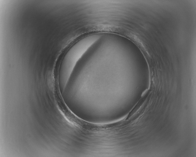X0000070830674200606191249