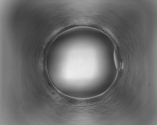 X0000070830675200606191249