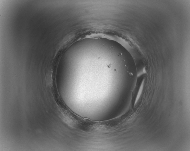 X0000070830685200606191249