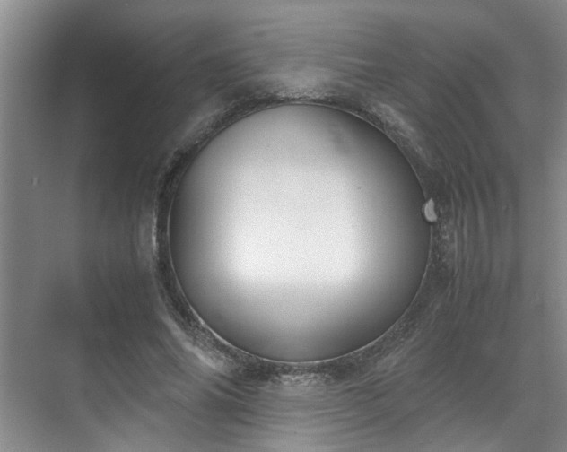 X0000070830686200606191249