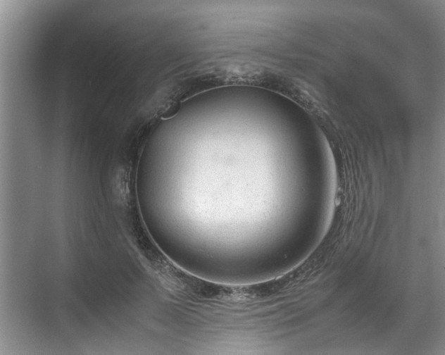 X0000070830695200606191249