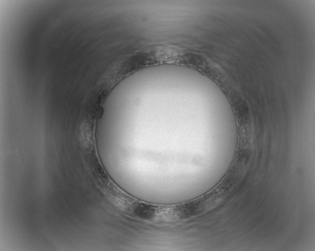 X0000070830705200606191248
