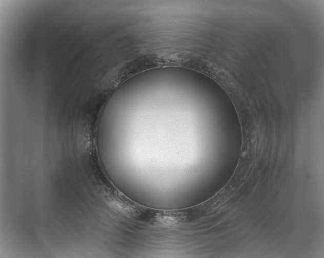 X0000070830706200606191248