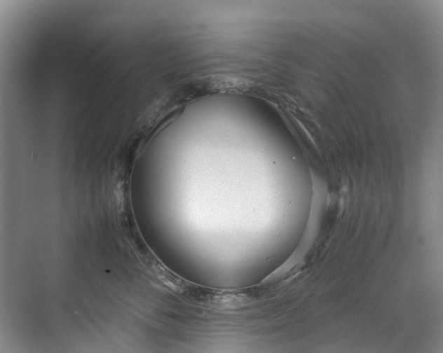 X0000070830716200606191248