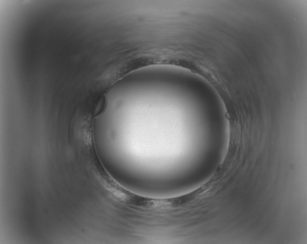 X0000070830719200606191248