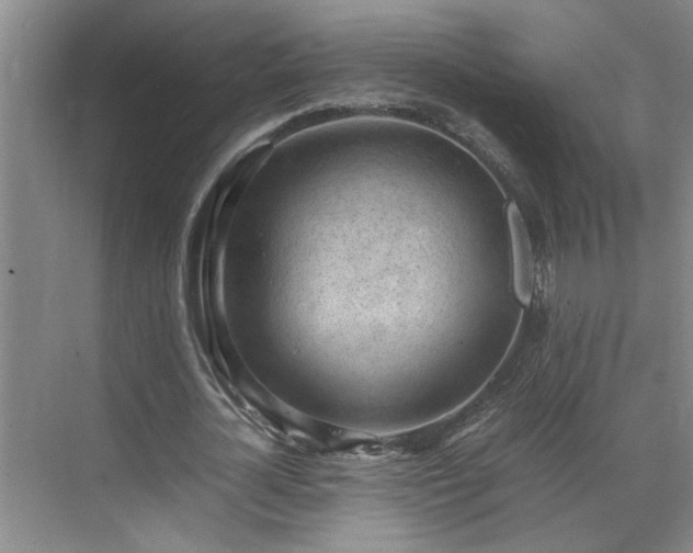 X0000070830724200606191247