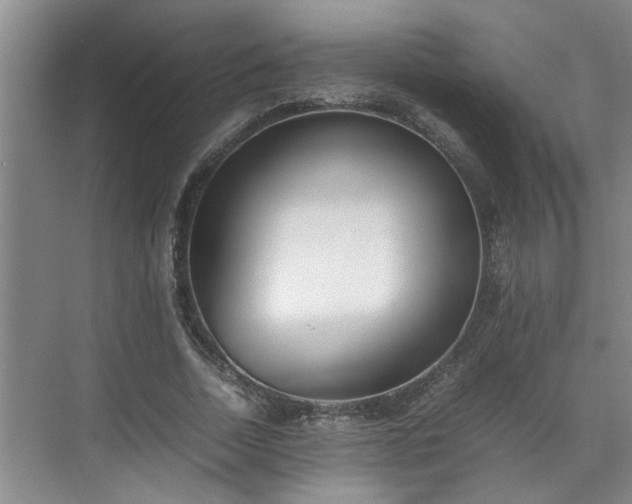 X0000070830730200606191248